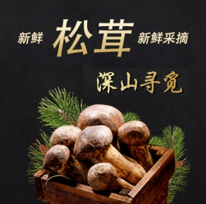 松 长白山松茸礼盒